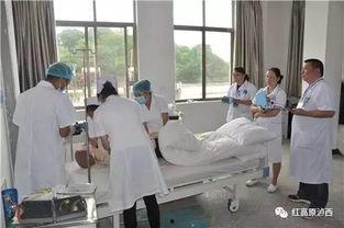 大舒城吃瓜群众事件,揭秘网络舆论的狂欢与反思