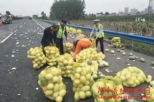 嵊州吃瓜群众,揭秘当地独特饮食文化