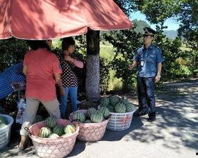 嵊州吃瓜群众,揭秘当地独特饮食文化