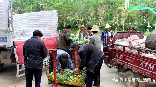 嵊州吃瓜群众,揭秘当地独特饮食文化