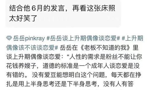 吃瓜群众岳岳,吃瓜群众的独特视角，揭秘娱乐圈幕后真相