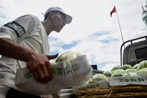 热心市民吃瓜群众,揭秘网络舆论场的众生相