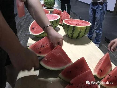 吃瓜群众的师祖,揭秘吃瓜群众师祖的传奇人生