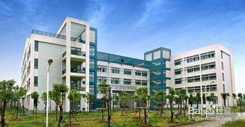 吃瓜群众上线湖北经济学院,校园生活新风向