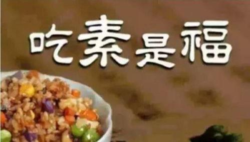 吃瓜群众教你吃素视频在线观看,素食美食视频教程