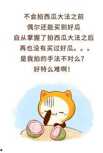 不上班了吃瓜群众怎么说,变身吃瓜群众,揭秘日常娱乐生活