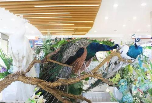 地下商场吃瓜群众,吃瓜群众的欢乐盛宴