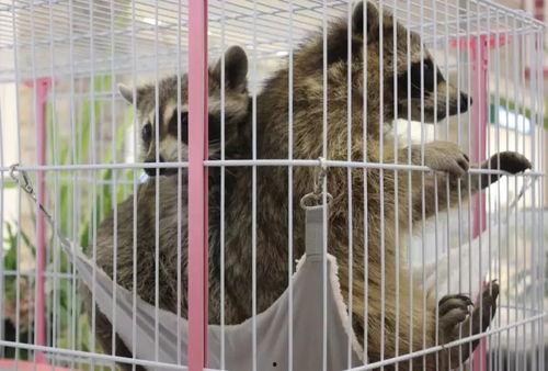 地下商场吃瓜群众,吃瓜群众的欢乐盛宴