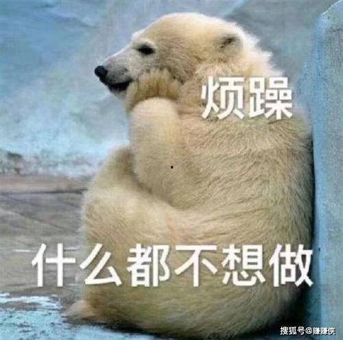 吃瓜群众约起来的图片,一场视觉盛宴的狂欢