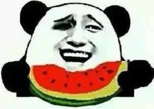 熊猫人版吃瓜群众,揭秘娱乐圈幕后风云