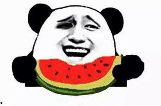 阿周吃瓜群众,揭秘娱乐圈幕后风云