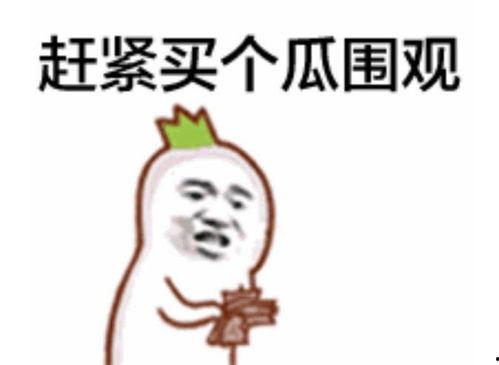 吃瓜群众摸头发视频,揭秘网络热梗背后的趣味与思考