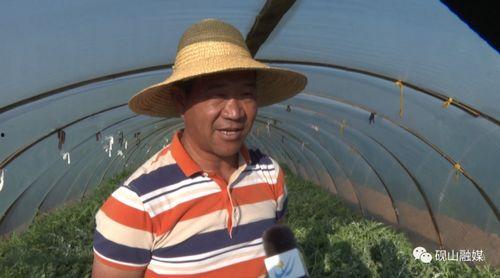 平远吃瓜群众事件始末是什么,一场网络舆论的风波与反思