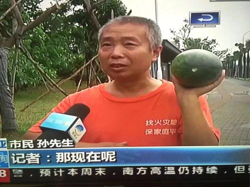 五号吃瓜群众事件视频,揭秘网络舆论的狂欢与反思