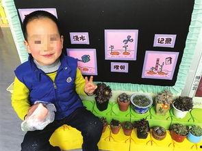 吃瓜群众幼儿园,童言无忌,趣味横生