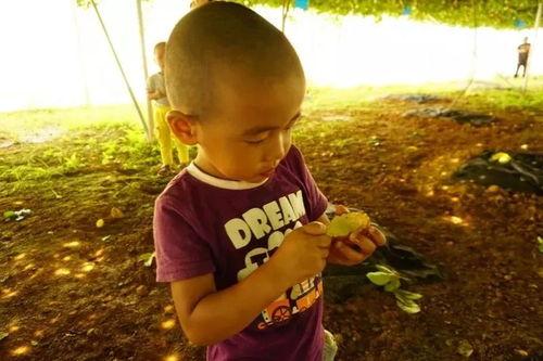 吃瓜群众幼儿园,童言无忌,趣味横生