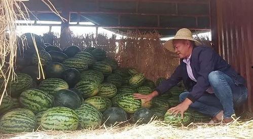 原油聚变吃瓜群众,揭秘吃瓜群众的能源新视角