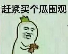 吃瓜群众的钓友是谁,吃瓜群众钓友背后的神秘身份