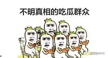 吃瓜群众看不懂什么意思