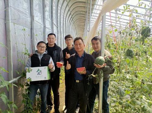 山东群众吃瓜视频曝光