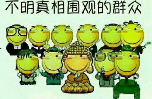 吃瓜群众感悟怎么写啊