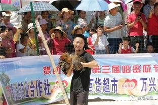 吃瓜群众感悟怎么写啊