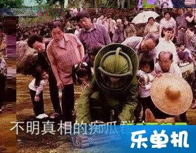 随处都吃瓜群众是什么意思,揭秘网络时代下的围观文化现象