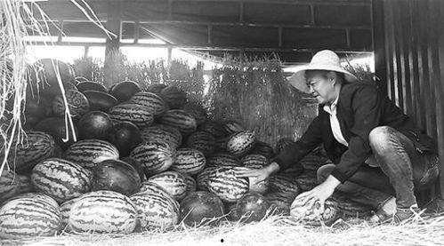 眉山吃瓜群众事件视频,街头冲突视频引发热议