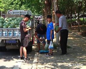 眉山吃瓜群众事件视频,街头冲突视频引发热议