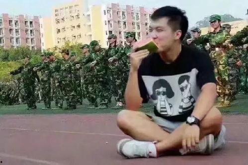 吃瓜群众被反杀,一场意外引发的深思