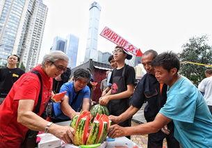 朝阳人民群众吃瓜事件真相,真相背后的社会现象剖析