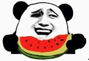 纯真吃瓜群众视频,一场网络现象的深度剖析